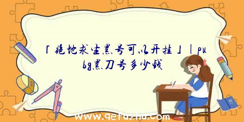 「绝地求生黑号可以开挂」|pubg黑刀号多少钱